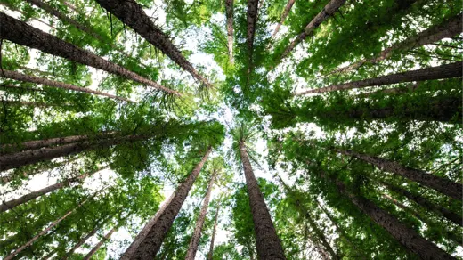 GHGP Scope 2 revision explained