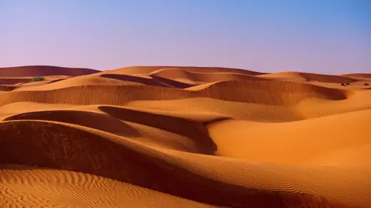 ADGM’s ESG Disclosures Framework