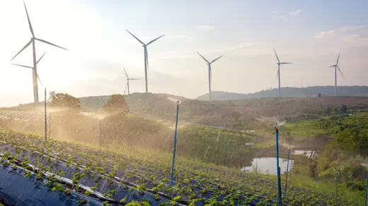 The ESAs publish a joint opinion on the future shape of the SFDR